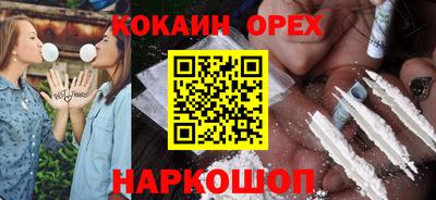 гашик Гатчина
