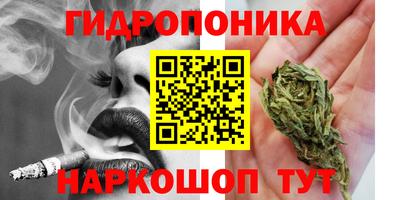 кокс Гагарин