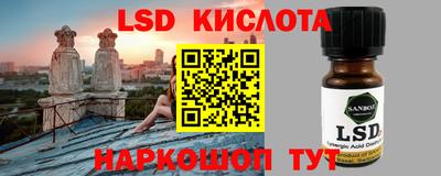 гашик Гатчина