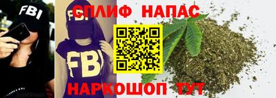 гашик Гатчина