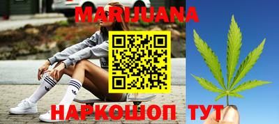 гашик Гатчина