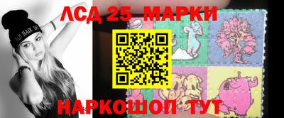 гашик Гатчина